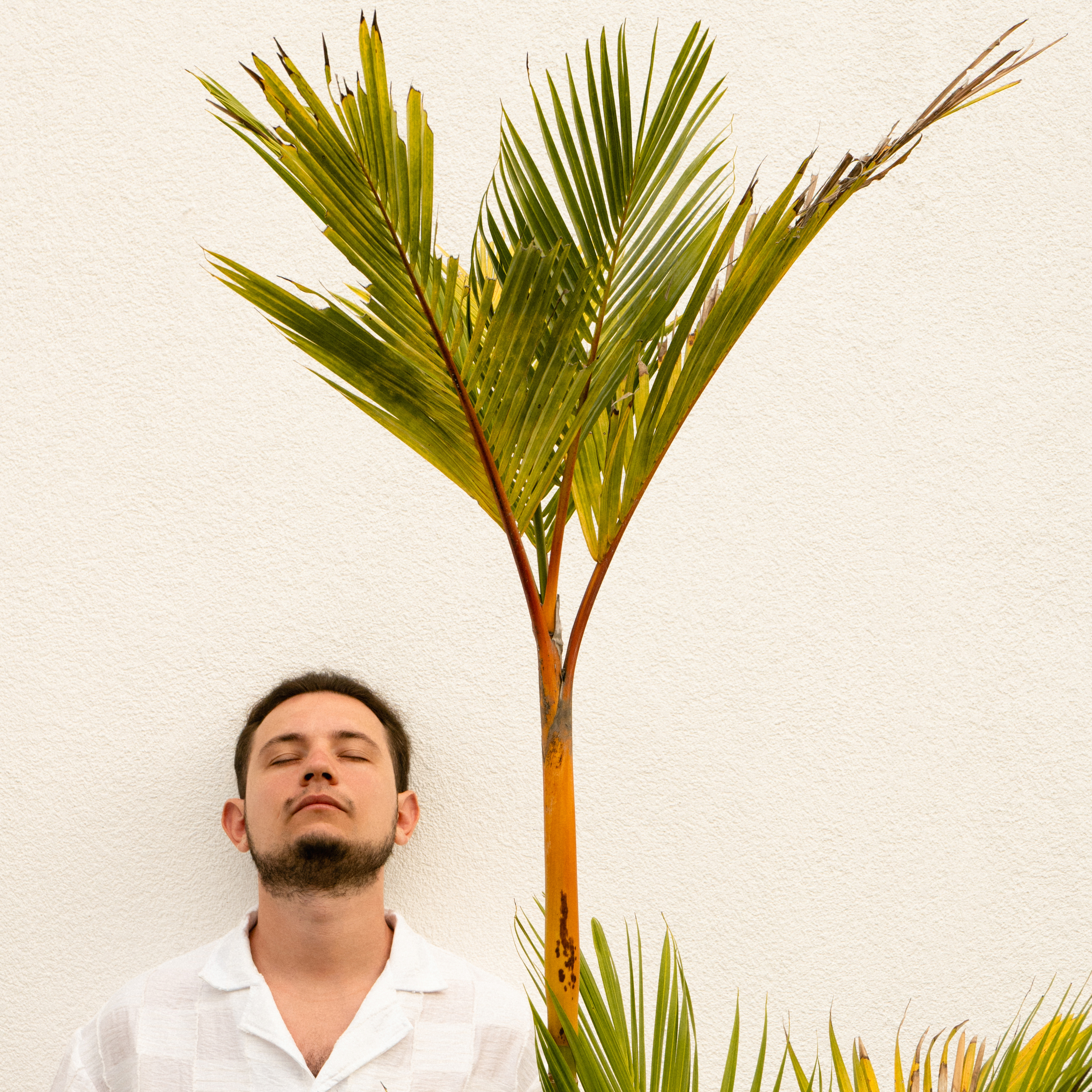 Михаил Мирзоян