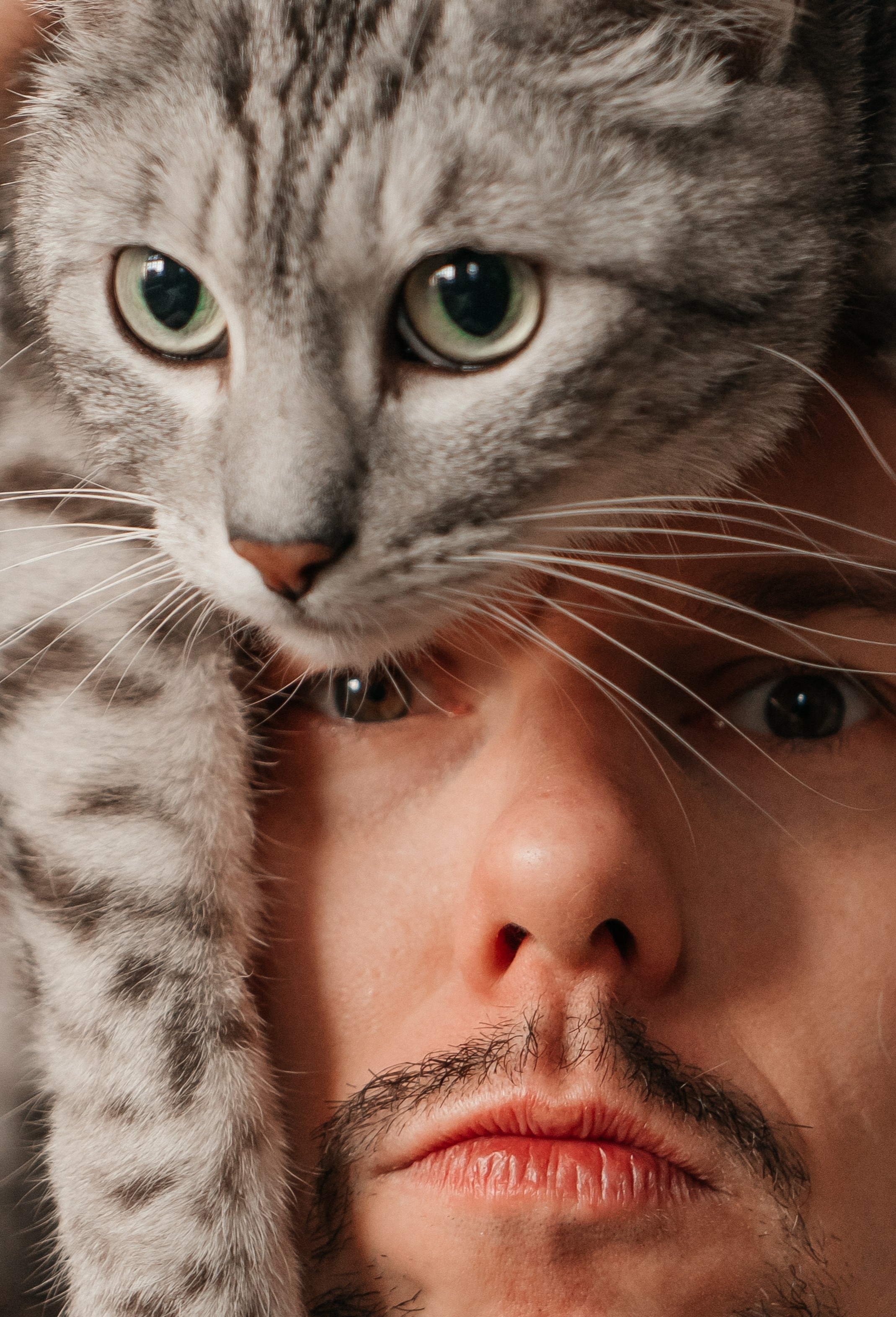 Тимофей Арапов